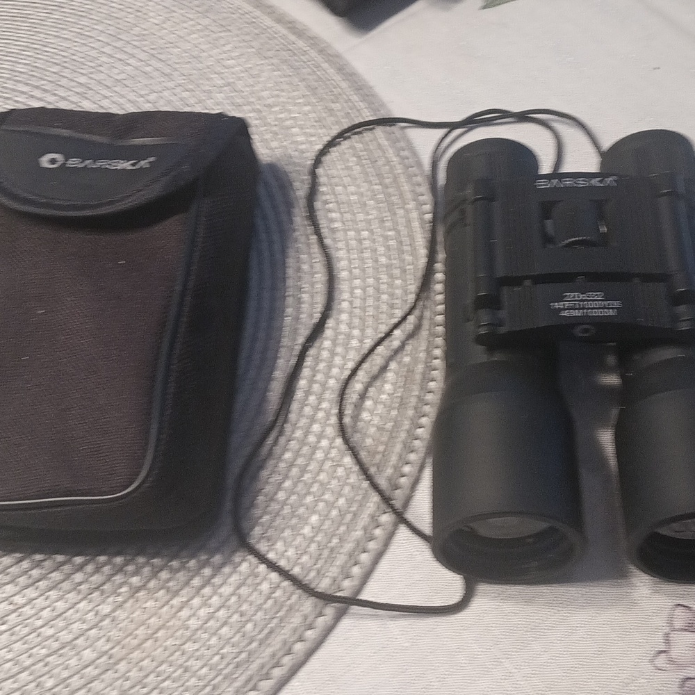 Vintage Binoculars With Case